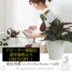観葉植物 霧吹き おしゃれの人気商品 通販 価格比較 価格 Com