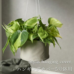 ySi10OFFZ[JÒznMOJo[  Jo[  5 4 ϗtA  k z