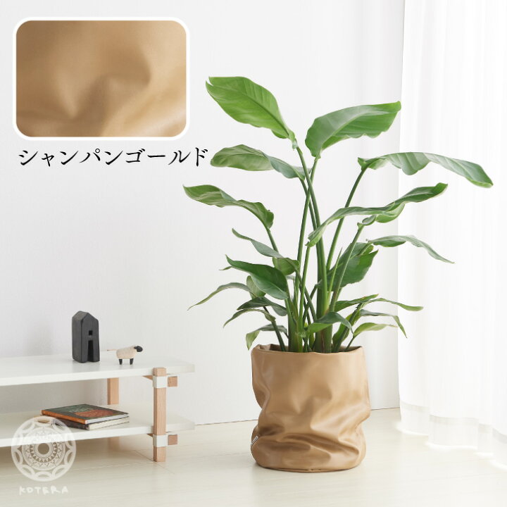 楽天市場 鉢カバー おしゃれ お祝い 大型 8号 7号 北欧 レザー 観葉植物 棚 ルーズカバー Loose Cover 布 スタンド インテリア ナチュラル シンプル 国産合皮レザー 汚れ 犬 ネコ 安心 日本製 鉢カバー コテラ こてら Koteraグリーンとインテリアのお店