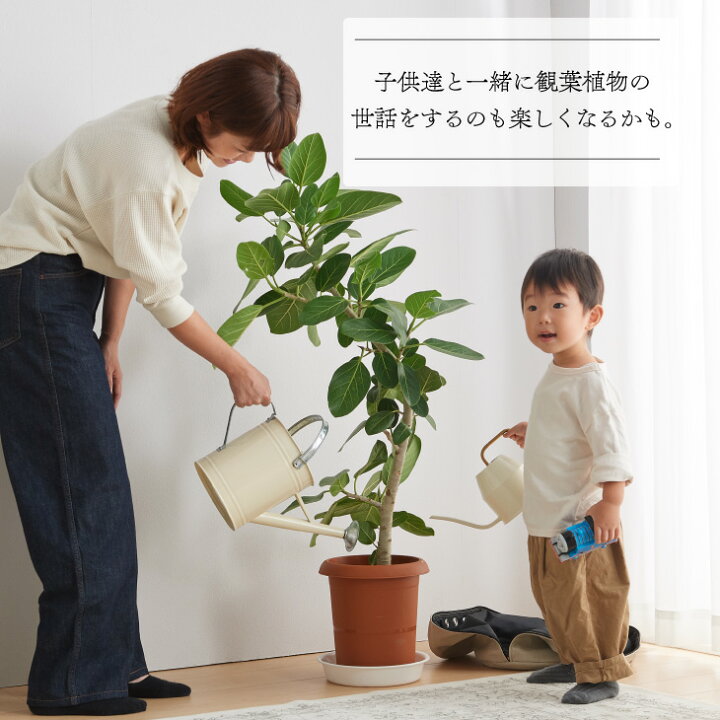 楽天市場 鉢カバー おしゃれ お祝い 大型 8号 北欧 レザー 観葉植物 棚 プラントポット Plantpot 布 スタンド インテリア ナチュラル シンプル 国産合皮レザー 汚れ 犬 ネコ 安心 日本製 鉢カバー コテラ こてら Koteraグリーンとインテリアのお店