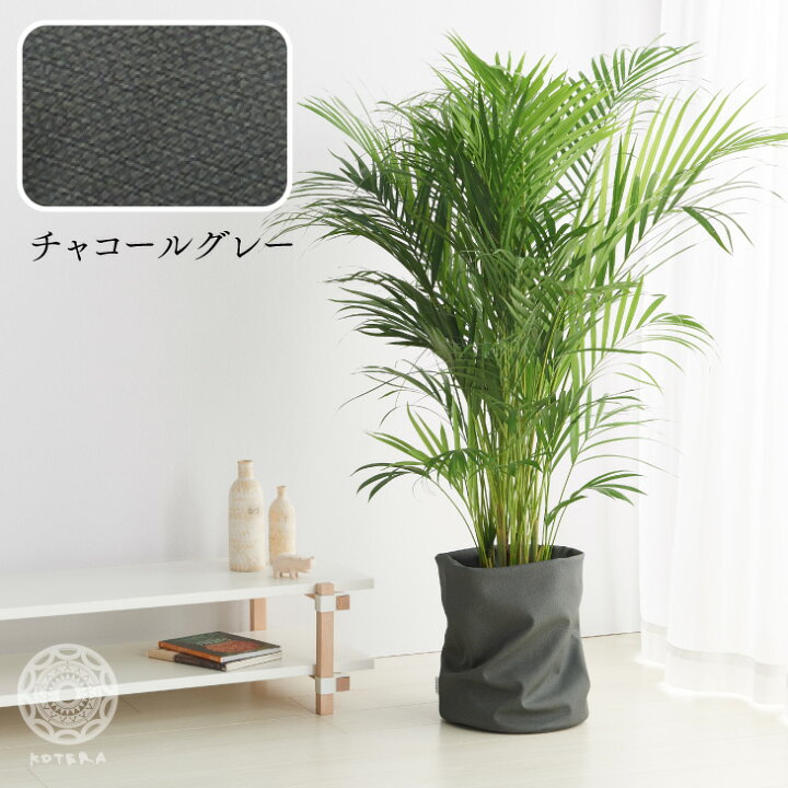 楽天市場 鉢カバー おしゃれ お祝い 大型 10号 9号 北欧 レザー 観葉植物 棚 ルーズカバー Loose Cover 布 スタンド インテリア ナチュラル シンプル 国産合皮レザー 汚れ 犬 ネコ 安心 日本製 鉢カバー コテラ こてら Koteraグリーンとインテリアのお店