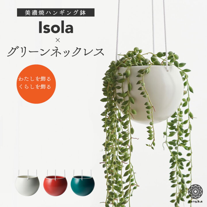 楽天市場 観葉植物 小さい 吊り下げ 鉢 おしゃれ お祝い Isola グリーンネックレス ハンギングプランター ミニ セット 土 小さい 北欧 インテリア 開店祝 新築祝 引っ越し祝 多肉植物 壁掛け ミニ観葉植物 コテラ Koteraグリーンとインテリアのお店