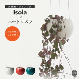 観葉植物 インテリア 多肉植物 吊るす 小さい 卓上 吊り下げ 鉢 おしゃれ お祝い 【ISOLA】ハートカズラ ハンギングプランター ミニ セット 土 小さい 卓上 北欧 開店祝 新築祝 引っ越し祝 多肉植物 壁掛け ミニ コテラ