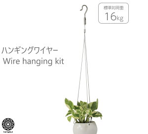 C[ nMOLbg ϗtA͕ʔ ݂艺 Re