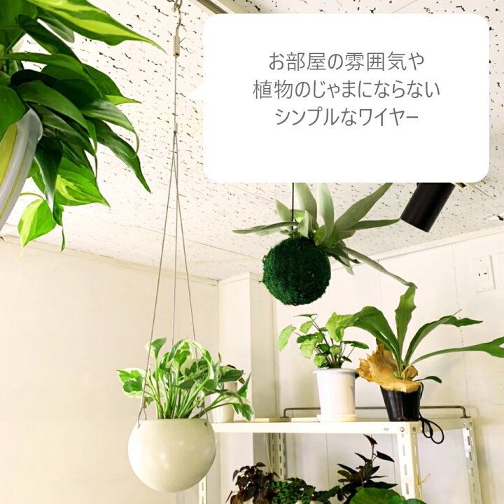 楽天市場 ワイヤー ハンギングキット 観葉植物 吊り下げ 小さい 卓上 ミニ観葉植物 ポトス グリーンネックレス コテラ Koteraグリーンとインテリアのお店
