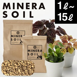 ySi10OFFZ[JÒzNɂ@py ~l\C ϗtA Apy S҂ ϗtA y ϗtA̓y A y 1L @     |{y y