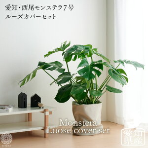 観葉植物 霧吹き おしゃれ Diy 工具の人気商品 通販 価格比較 価格 Com 観葉植物 霧吹き おしゃれ Diy 工具の人気商品 通販 価格比較 価格 Com