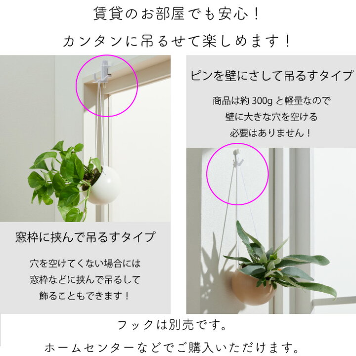 楽天市場 全品5 Off 10 25限定 観葉植物 おしゃれ 小さい 卓上 吊り下げ 鉢 お祝い ハンギング ポトス グローバルグリーン エンジョイ 苔玉 ミニ コケ玉 こけだま セット カバー Saari 棚 北欧 インテリア 開店祝 新築祝 引っ越し祝 ステータス コテラ Kotera 楽天市場 全品5 Off 10 25限定 観葉植物 おしゃれ 小さい 卓上 吊り下げ 鉢 お祝い ハンギング ポトス グローバルグリーン エンジョイ 苔玉 ミニ コケ玉 こけだま セット カバー Saari 棚 北欧 インテリア 開店祝 新築祝 引っ越し祝 ステータス コテラ Kotera