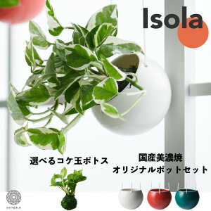 観葉植物 ポトス ハンギングの人気商品 通販 価格比較 価格 Com