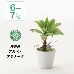  ϗtA ^ CeA  AK Aei[^ bNK[f 7 k JXj Vzj zj Re