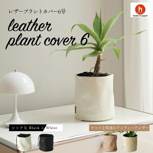 y10/1XSi10%OFFN[|zvgJo[ plantcover Jo[ Aؔ y  j 6 ϗtA  k z oXPbg X^h CeA i` Vv Y烌