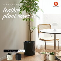 楽天市場】モンステラ（植木鉢・プランター｜ガーデニング・農業）：花 