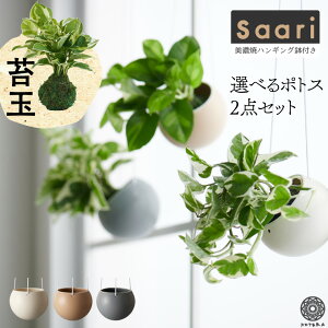 ポトス ハンギング 農業資材 ガーデニング用品の人気商品 通販 価格比較 価格 Com