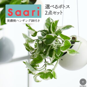 観葉植物 ポトス ハンギングの人気商品 通販 価格比較 価格 Com