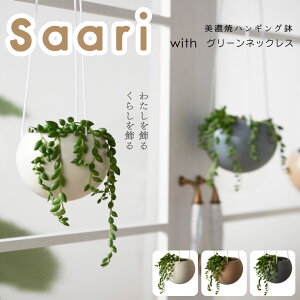 吊り下げ 鉢 観葉植物の人気商品 通販 価格比較 価格 Com
