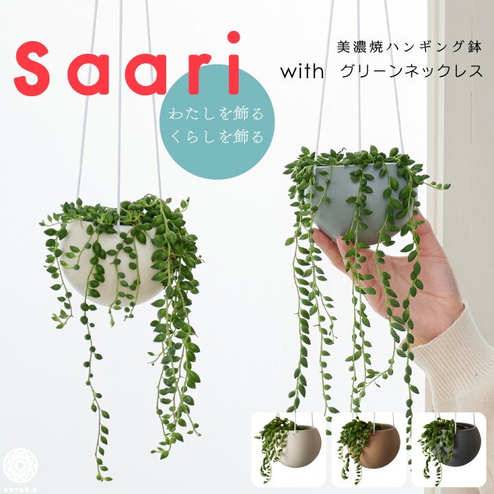 楽天市場 最大 オフクーポン 観葉植物 小さい 吊り下げ 鉢 おしゃれ お祝い Saari グリーンネックレス ハンギングプランター ミニ セット 土 小さい 北欧 インテリア 開店祝 新築祝 引っ越し祝 多肉植物 壁掛け ミニ観葉植物 コテラ Koteraグリーンと