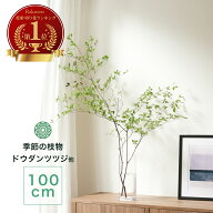 《最大30％OFF/大特価セール実施中》ドウダンツツジ 枝 切り枝 アセビ 馬酔木 啓翁桜 けいおう桜 生花 ド…