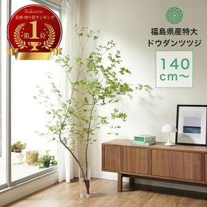 yő50%off̒Z[zhE_ccW AZr  } G߂̎} 140cm  ؂}  Re Ă
