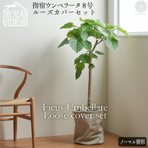 観葉植物 鉢 カバー 北欧の人気商品 通販 価格比較 価格 Com