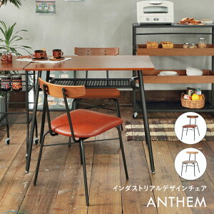 `FA _CjO`FA  ֎q X`[ k g  p\R`FA CX  anthem ANC-3227NA ANC-3227BR ̂ ΂