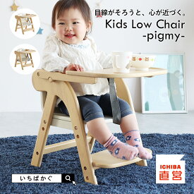 ベビーチェア ベルト 折りたたみ 折り畳み テーブル ローチェア 持ち運び キッズチェア ロータイプ 高さ調整 立ち上がり防止 背もたれ 1歳 3歳 赤ちゃん 足がつく お座り練習 キッズ 首すわり 腰 食事 姿勢が良く なる Kids Low Chair -pigmy-［ILC-3777］