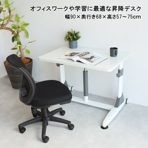 Ⴂ^~fXNLDCLi|W90A57cm`75cmiK~AVTCY90cm×60cmAnIE_Co[VeBEfXN ̂ ΂