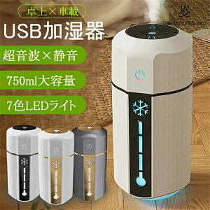   ^ e LEDCg USB 750ml ^ USB ԍډ RpNg  rO ォ狋 g ȃGl ~j ΍ ԕ΍ É  fX