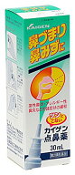 【第2類医薬品】【10個セット】カイゲン点鼻薬　30ml×10個セット【小型宅配便】