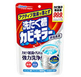 アクティブ酵素で落とす洗たく槽カビキラー　250g