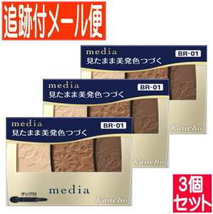 y3ZbgzJl{E fBA OfJ[ACVhEN BR-01 3.1gy[֑/3Zbgz