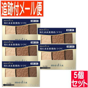 �y5�Z�b�g�z�J�l�{�E ���f�B�A �O���f�J���[�A�C�V���h�EN BR-01 3.1g�y���[���֑�������/5�Z�b�g�z