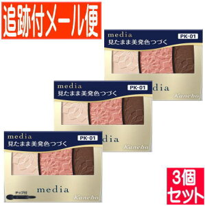 y3ZbgzJl{E fBA OfJ[ACVhEN PK-01 3.1gy[֑/3Zbgz