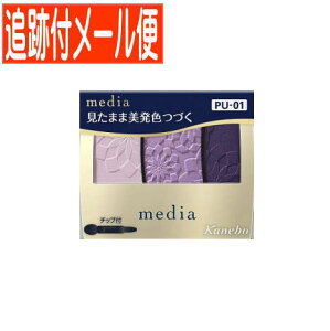 y[֑zJl{E fBA OfJ[ACVhEN PU-01 3.1g