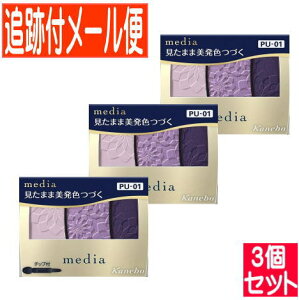 y3ZbgzJl{E fBA OfJ[ACVhEN PU-01 3.1gy[֑/3Zbgz