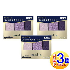 y3ZbgzJl{E fBA OfJ[ACVhEN PU-01 3.1gy^zցz