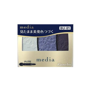 �J�l�{�E ���f�B�A �O���f�J���[�A�C�V���h�EN BU-01 3.1g