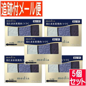 y5ZbgzJl{E fBA OfJ[ACVhEN BU-01 3.1gy[֑/5Zbgz