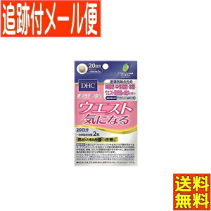 y[֑zy@\\HizDHC EGXgCɂȂ 20i40j