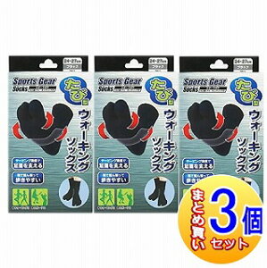 y3ZbgzeR[|[V X|[cMA ь^EH[LO\bNX (24cm`27)ubNy^zցz