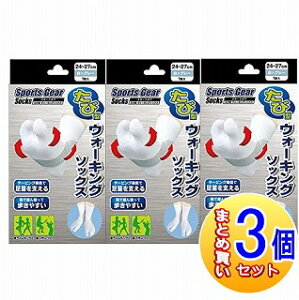 y3ZbgzeR[|[V X|[cMA ь^EH[LO\bNX (24cm`27)×O[y^zցz