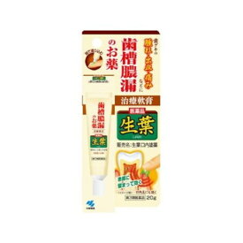 【第3類医薬品】生葉　口内塗薬 20g入 小林製薬【メール便送料無料】