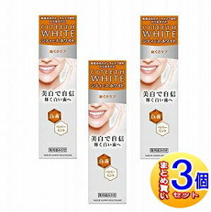 y3ZbgzVeB[XzCg PA 110g 򕔊Oi Oy^zցz