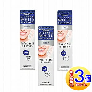 y3ZbgzVeB[XzCg LPA 110g 򕔊Oi Oy^zցz