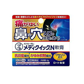 【第(2)類医薬品】メンソレータム　メディクイックN軟膏　6g