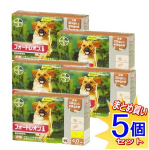 �y5�Z�b�g�z�y�����p���i�z�t�H�[�g���I�� 32kg�ȏ�40kg���� 4.0mlx3�y���^��z�ցz