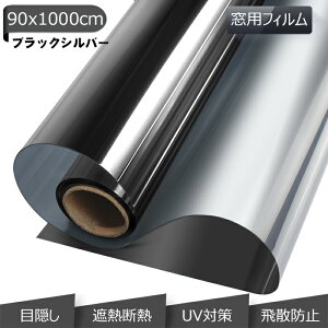 ガラスフィルム マジックミラー 内装の人気商品 通販 価格比較 価格 Com