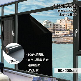 楽天市場 遮光 ガラス フィルムの通販 楽天市場 遮光 ガラス フィルムの通販