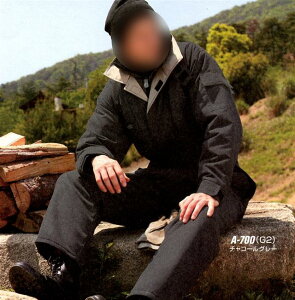 ͝HAhciMyAUTO-BI A-700zy|GXe100%zyhzyȂz