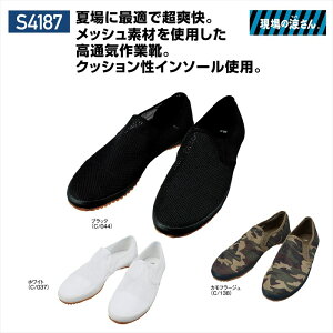 S4187 s4187 ̗ Jichodo d ƌC  JWA Xb| y bVʋC jp Y jp jZbNX