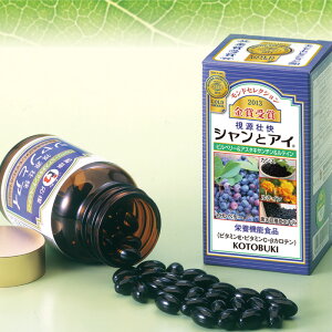 hZNV2021-2013N 7NAō܁E܎ s VƃAC (90) yrx[GLXܗLHiz rx[ADHAAEPAAAX^LT`AC`EtGLXz